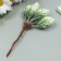 Artificial succulent for creating a florarium "Hall" 1 bouquet = 6 branches of hoar 13 cm