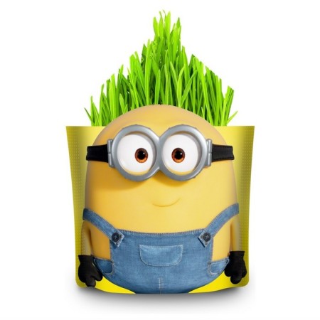 Set for growing “grow me” “minions” “Otto” (Doy-Pak)-1