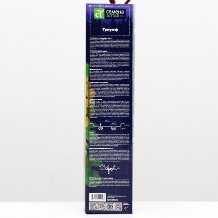 Grape seedling triumph spring 2024, 1 pc.-1