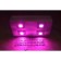 Fitoslight with Lenses for Grackers and Small Greenhouses "Rigel" 80W