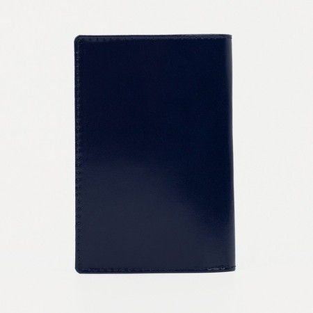 Cover for passport, blue color-1