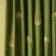 Set of curtains "Alice", size 2x145x270 cm, grass of grass