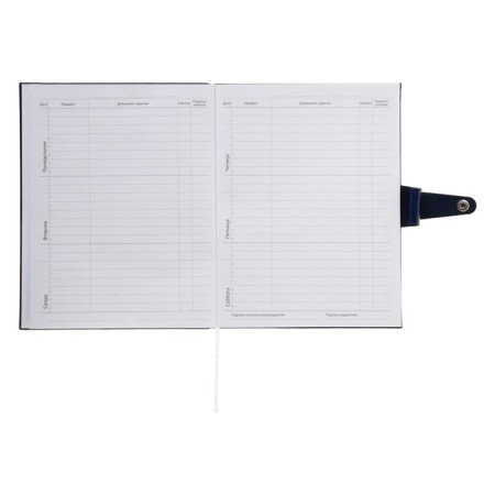 Universal diary for grade 1-11 Favorite, soft cover, button, artificial leather, foil embossing, refrain, lies, 48 ​​sheets-19