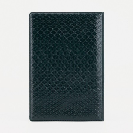 Cover for passport, green color-2