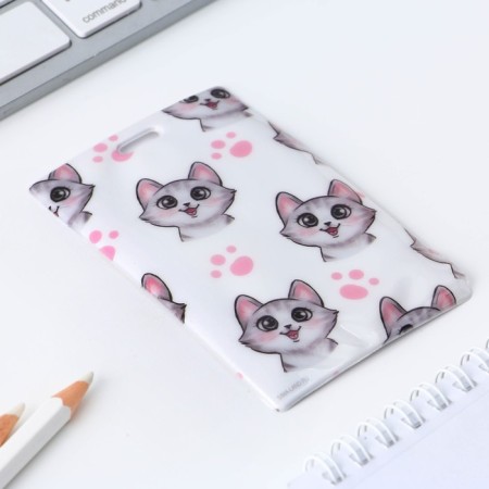 Case for passing "cat", 6.5 x 10 cm-2