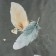 Bed linen 2 joint venture and I "feather" 173*215cm, 175*214cm, 50*70cm-2pcs, 60g/m2, microfiber