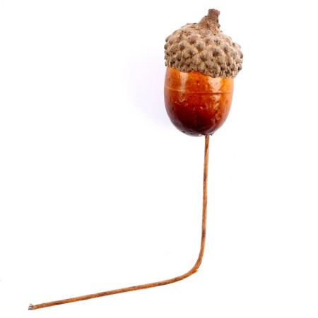 Decor for the creativity of "Acorn" set 20pcs, 3x2cm-3