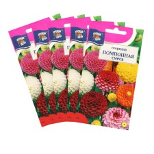 Flowers of the flowers of Georgin's mixture 