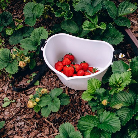 Berry collection container, 3 l, white-11