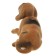 Dog on a car panel shocking his head, small, beige-brown color