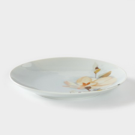 Porcelain plate "White Rosehip", D = 17.5 cm-1