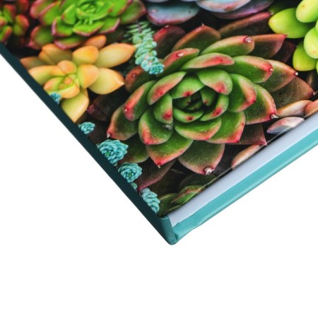 Note book A6 96 sheets at the "succulents" point, hard cover, matte lamination, elastic band, offset block 60 g/m2-2