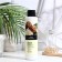 Hair balms "Vitamin Bio Beauty", bio "oil Karit", intensive food, 250 ml