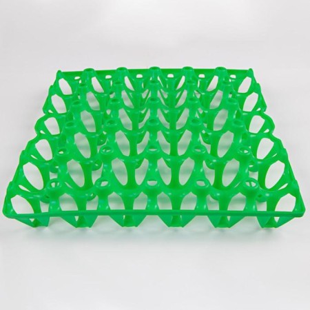 Chicken egg tray, green-1