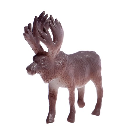 A set of animal figures "Amazing World", 12 items-1