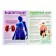 Book with transparent pages "My Body", 32 p.