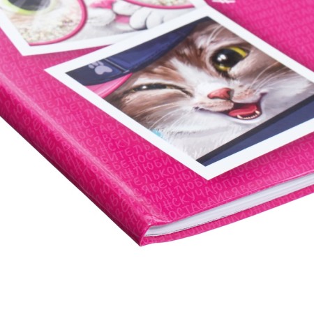 Universal diary for grades 1-11, 48 Kota sheets, integral cover, glossy lamination-2