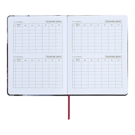 Diary 1-11 Grade "Magnolia", artificial leather, with lisasa, 48 sheets-5