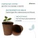 Peat pot, 350 ml, 9 × 9 cm, set of 9 pcs.