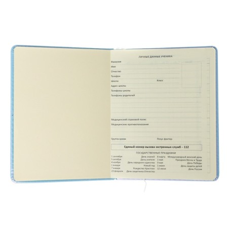 Universal diary for grade 1-11 "Why?", Firm cover, artificial leather, with foam, lies, 80 g/m2-3