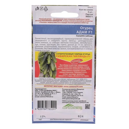 Seeds Cucumber Adam F1, 5 pcs.-1