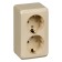 Double SE SE "Study", 16 A, 250 V, overhead, with salary, curtains, IP20, cream, PA16-008K