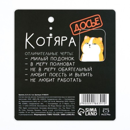 Acrylic core keychain "Kit", 6 x 5.4 cm-8