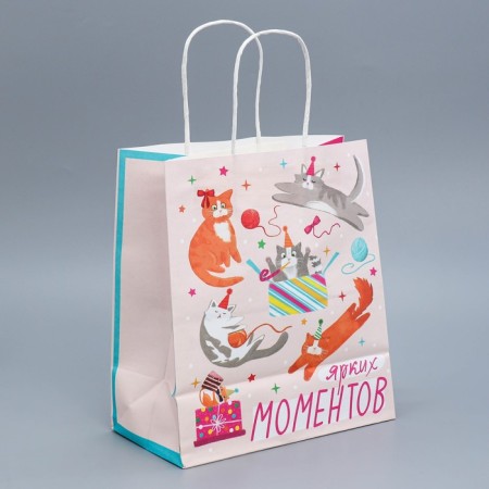Gift Crafts, Packaging, "Party", 22 x 25 x 12 cm-3
