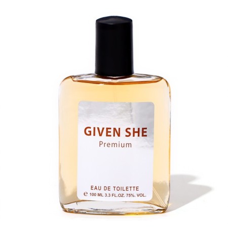 Toilet water for men Given Shy Premium, based on Givenchy Pour Homme, 100 ml-1