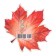 Decoration on the adhesive tape "Maple leaf" red color, 18x18 cm