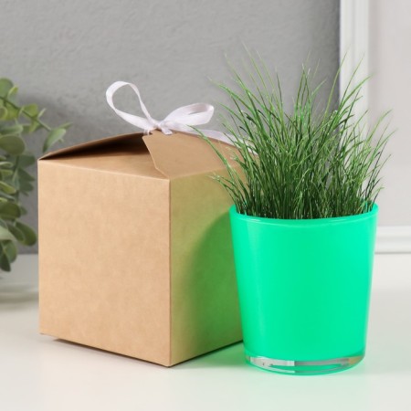 Set for growing plants "grow grass" green-3