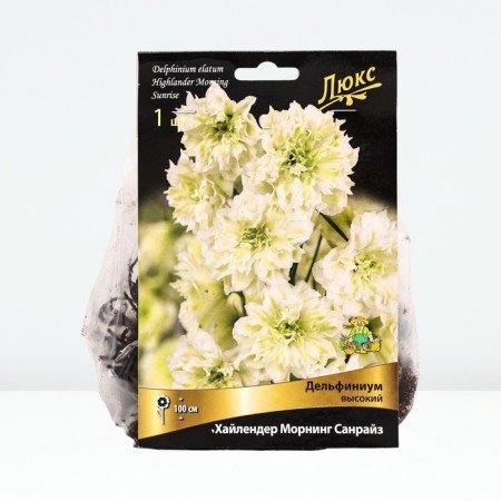 Delphinium High Haylander Mording Sanraise, Rr. I, 1 pc, spring 2025