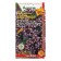 Oregano seeds ordinary "wizard", 0.1 g