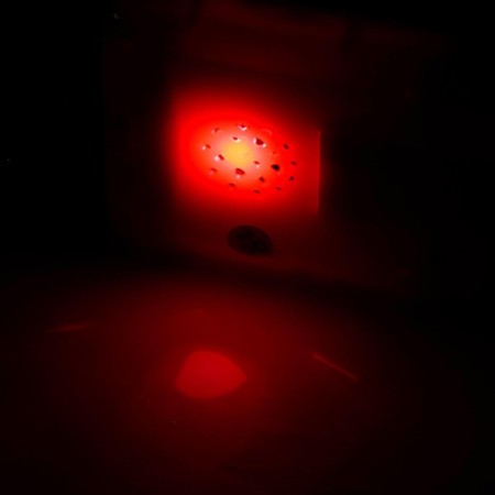 Musical phone number for the smallest "Funny animals", with a projector-2
