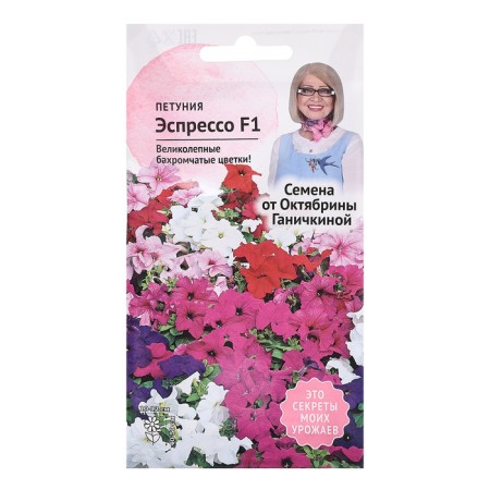 Flowers of Petunia "Espresso", 10 pcs