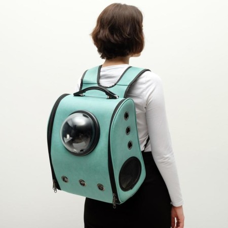 Backpack for carrying animals, transparent, 31 x 28 x 42 cm, pink-12