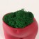 Concrete Kashpo "innocent view" height 6.5 cm, width 8.5 cm wine with moss (moss green. Stabiliz 1041207