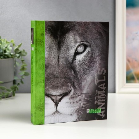 Photo album "lion" in 72 photos, 36 sheets, 15x21 cm