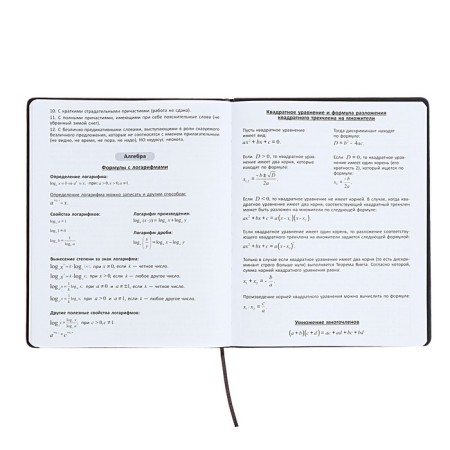 Universal diary for grades 1-11 "strip", solid cover of artificial leather, silkography, lies, 48 ​​sheets, graphite+red-12