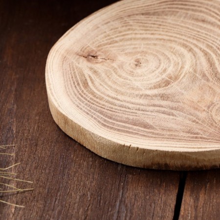 Oak slice 8x10x1-1
