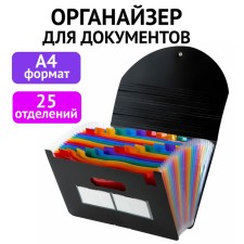 Папка-органайзер для бумаг и документов на резинке, 25 отд, BRAUBERG DOCS, А4, черн 271151