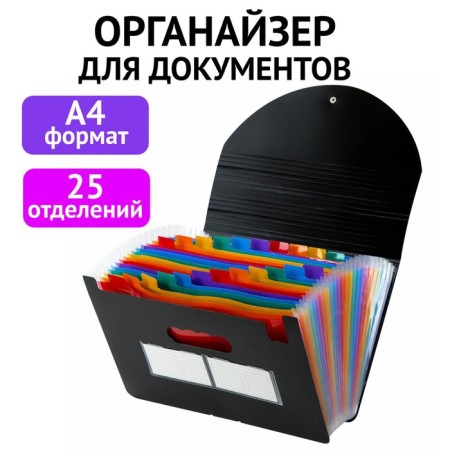 ORGANIZER folder for papers and documents on elastic bands, 25 departments, Brauberg Docs, A4, Chern 271151