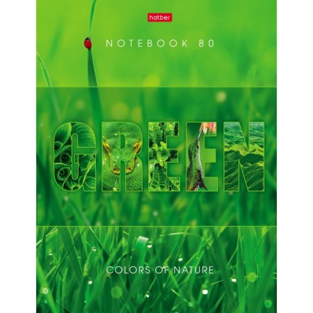 A5 Business Notepad, 80 sheets of "Carriage of Color", solid cover, 5-color block