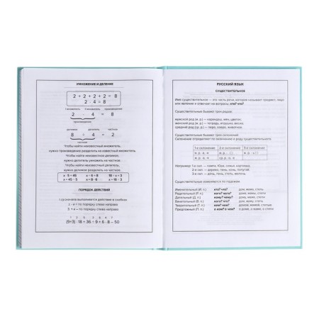 School diary for grades 1-11, "turquoise", covered paper cover, hard binding cardboard 7BC, matte lamination, universal cheat sheet, 48 sheets, block 65g/m2-10