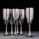 A set of champagne glasses "Silver", 170 ml, 6 pcs, silver color