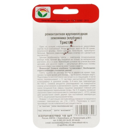 Strawberries "Tristar", 10 pcs-4