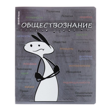 A set of subject notebooks 48 sheets, 12 pieces, Erichkrause "Chubrik", plastic cover silk-screen covers, Blok Offset 100%, information block-4