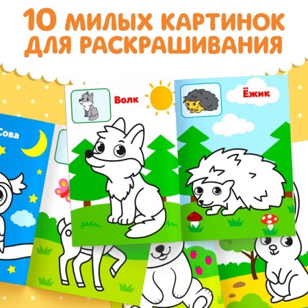 Coloring for babies on the model "Forest animals", 12 p.-2
