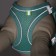 A set with a soft harness, fast-open, s, leash 150 x 1.5 cm, Osh 33-36 cm, OG 35-40 cm, turquoise