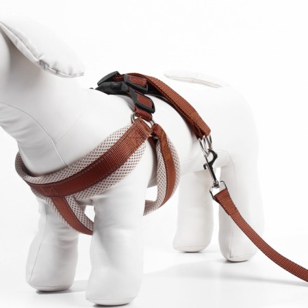 The ammunition set is soft, reflective, leash 120 x 2 cm, Osh 46-69 cm, brown-2